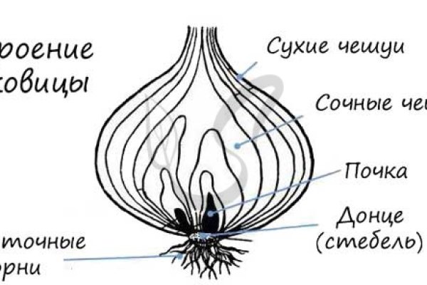 Кракен шоп даркнет